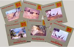 35mm slides and negatives