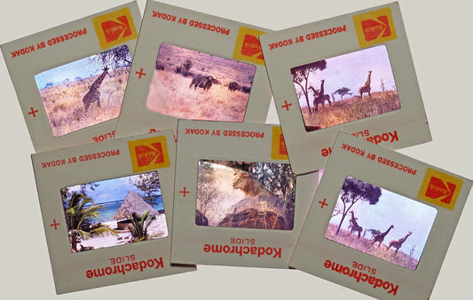 Photos, 35mm Slides, and 35mm Negatives Transfer to Digital DVD or Flash Drive